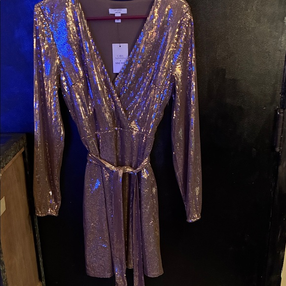 Nine West Dresses & Skirts - Carla Santana x Nine West Sequin Dress in Rose Taupe